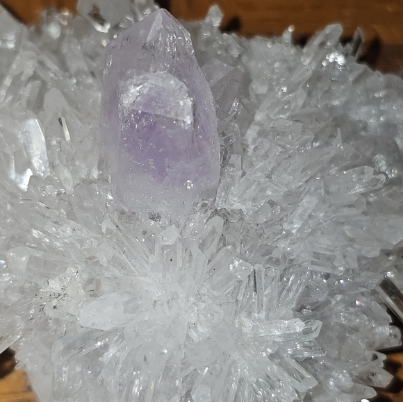 chrysanthemum amethyst cluster - Picture 6 of 9